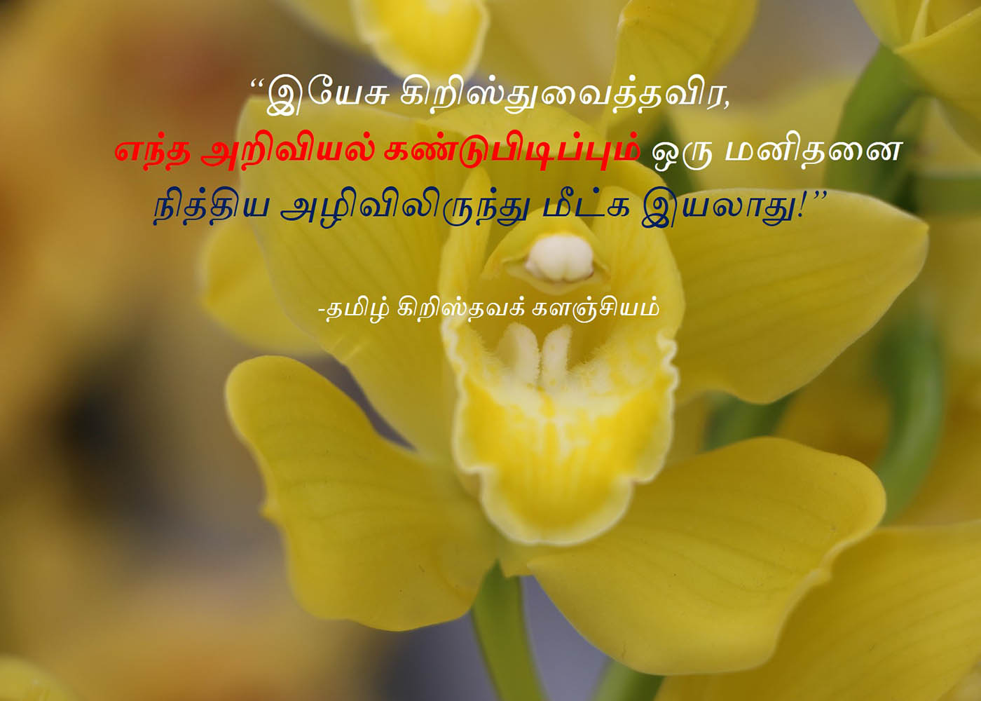 தமிழ் கிறிஸ்தவக் களஞ்சியத்தின் பொன்மொழிகள்